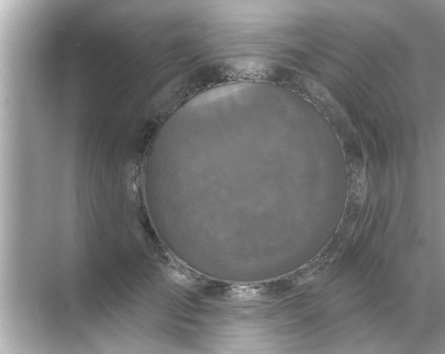 X0000070860701200606302046