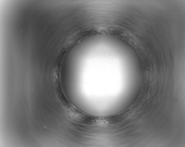 X0000070860702200606302046