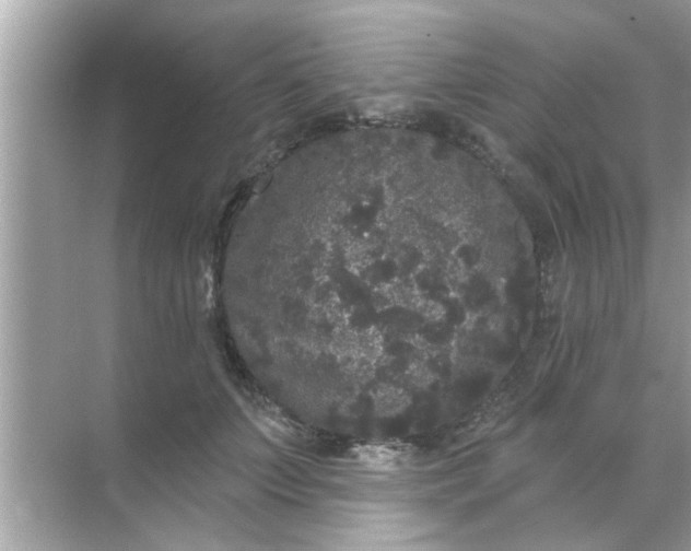 X0000070860703200606302046