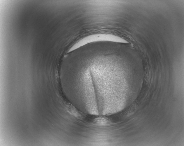 X0000070860704200606302046