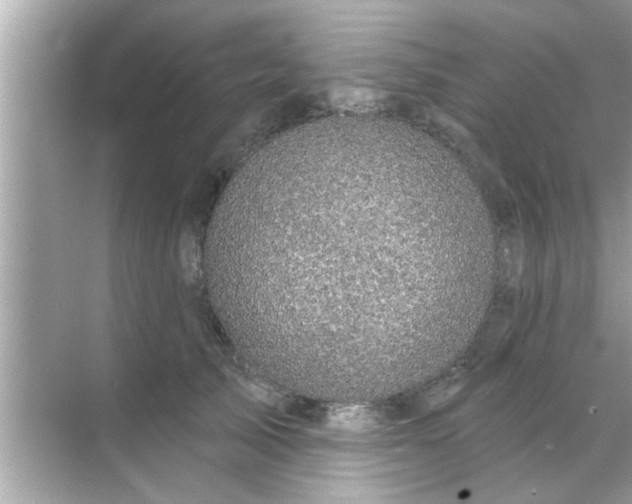 X0000070860705200606302046