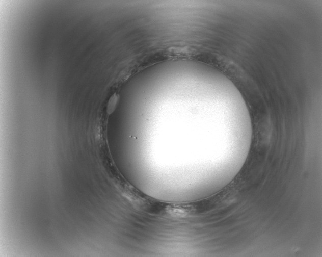 X0000070860706200606302046