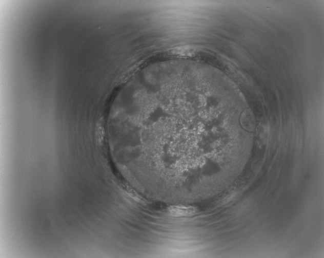 X0000070860707200606302046