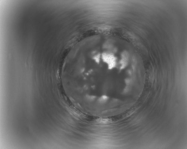 X0000070860711200606302046