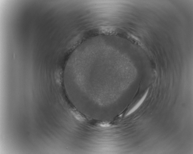 X0000070860712200606302046