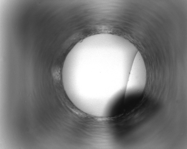 X0000070860713200606302046