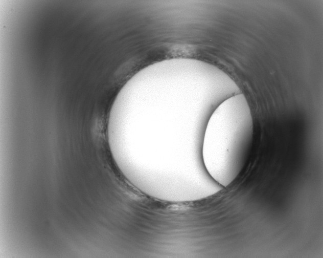 X0000070860714200606302046