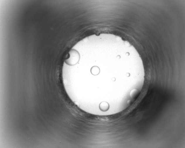 X0000070860715200606302046