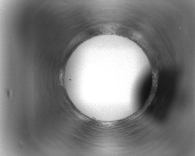 X0000070860717200606302046