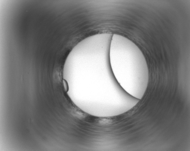 X0000070860718200606302046