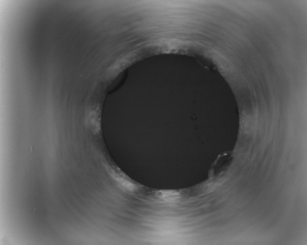 X0000070860719200606302046