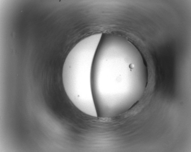 X0000070860720200606302046