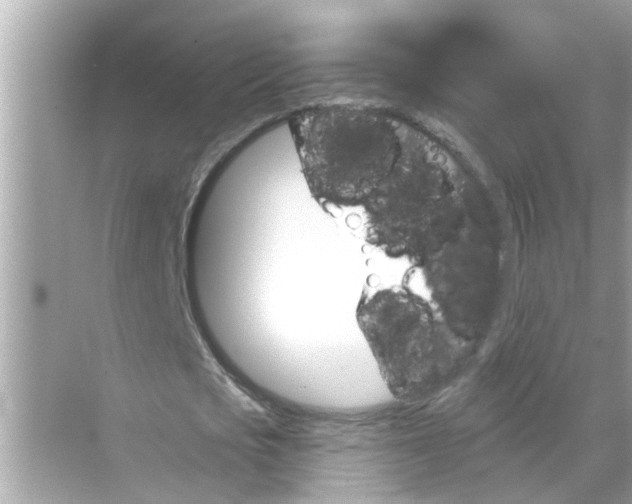 X0000070860721200606302045