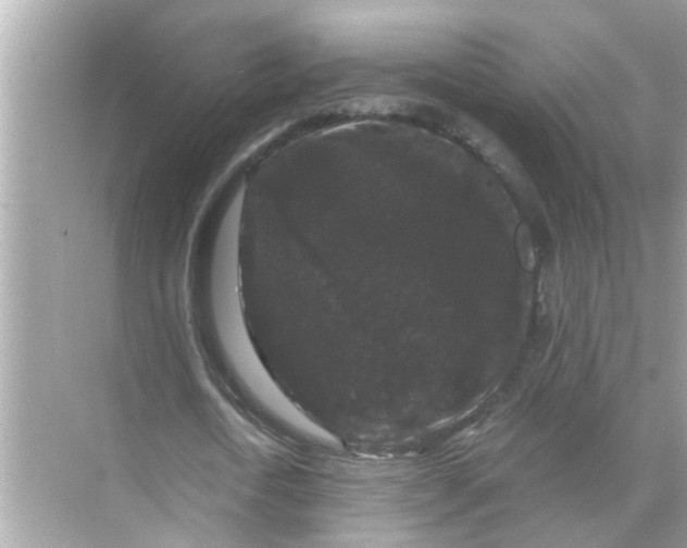 X0000070860722200606302045