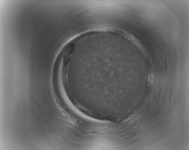 X0000070860724200606302045