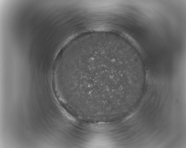 X0000070860725200606302045