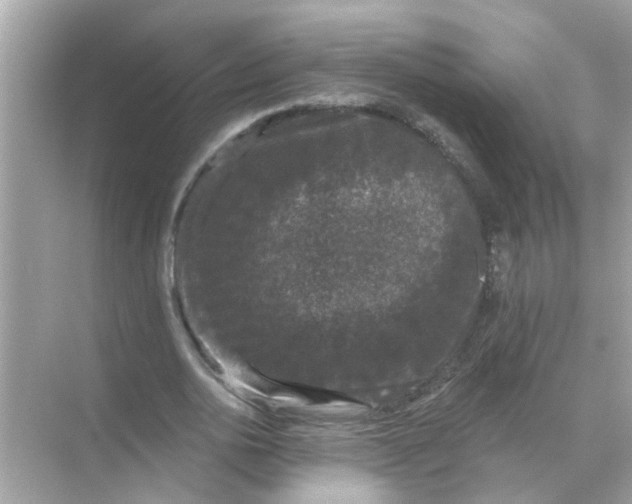 X0000070860726200606302045