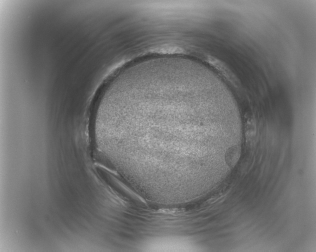 X0000070860727200606302045