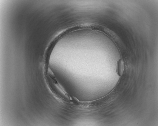 X0000070860728200606302045