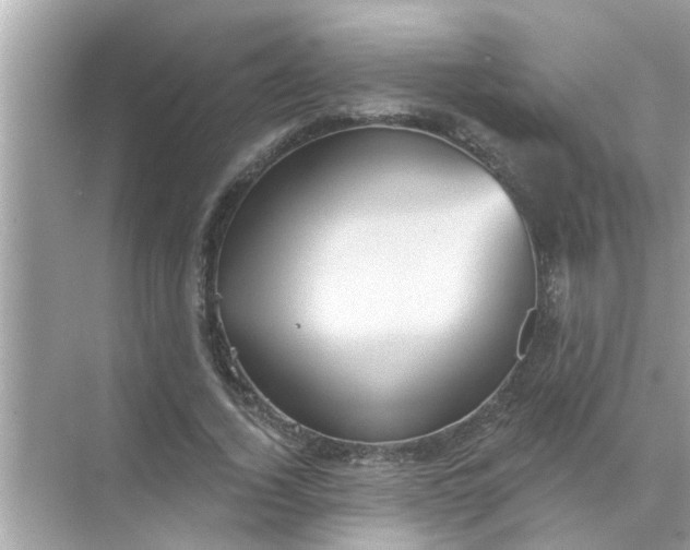 X0000070860732200606302045