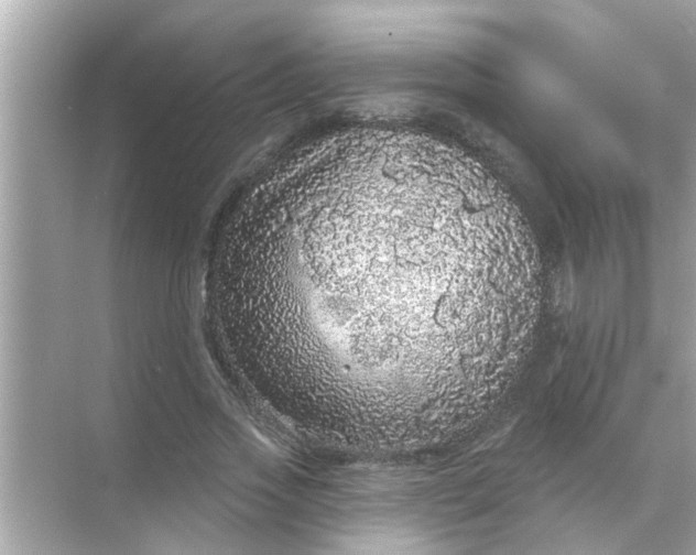 X0000070860733200606302045