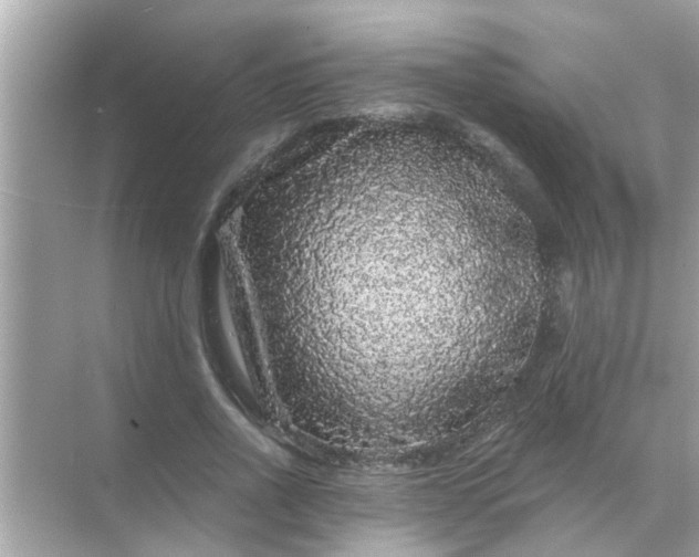 X0000070860734200606302045