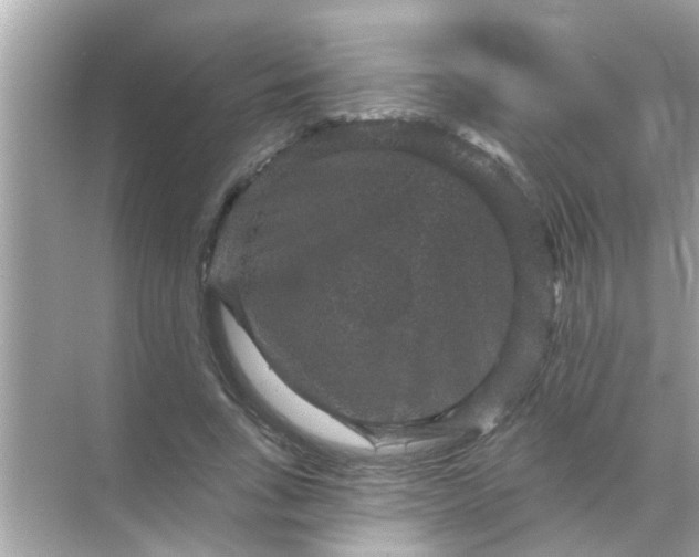 X0000070860735200606302045