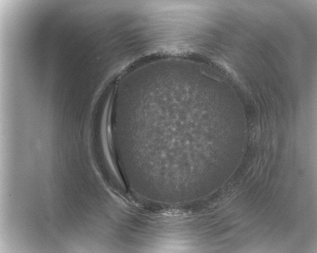 X0000070860736200606302045