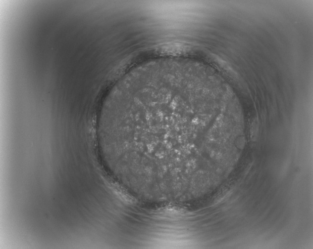 X0000070860737200606302045