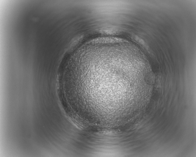 X0000070860738200606302045