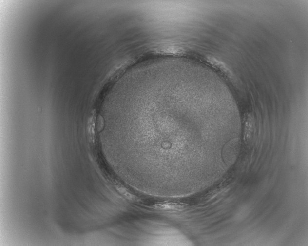 X0000070860739200606302045