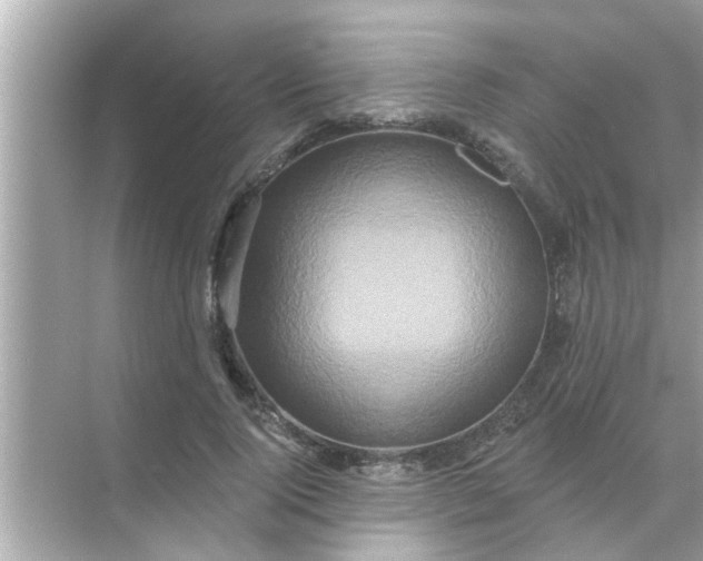 X0000070860740200606302045