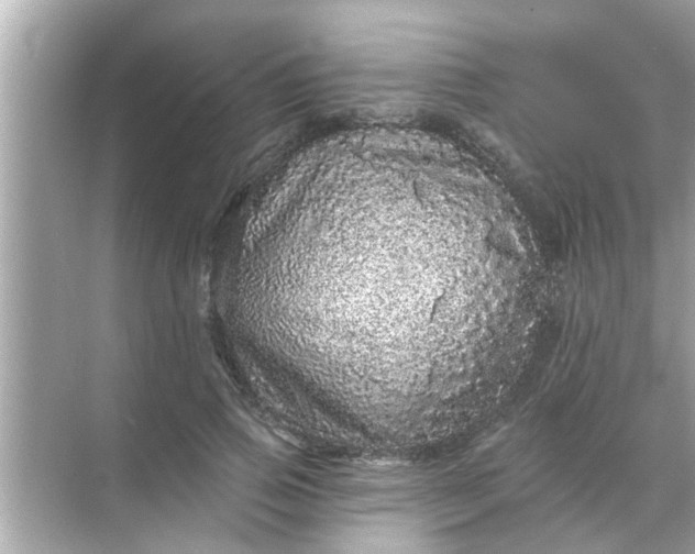 X0000070860741200606302045