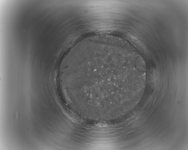 X0000070860742200606302045