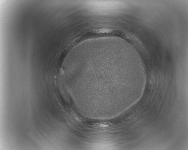 X0000070860743200606302045