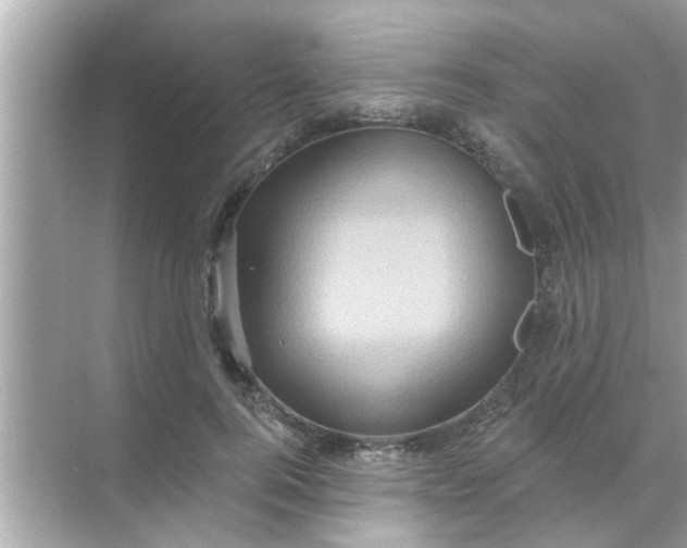 X0000070860744200606302045