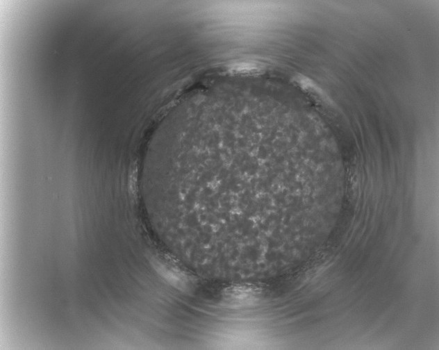 X0000070860745200606302045