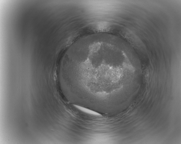 X0000070860746200606302045