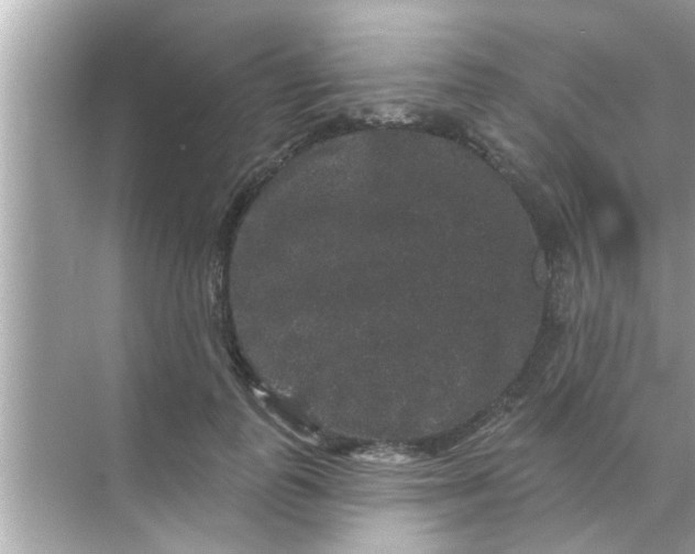 X0000070860747200606302045