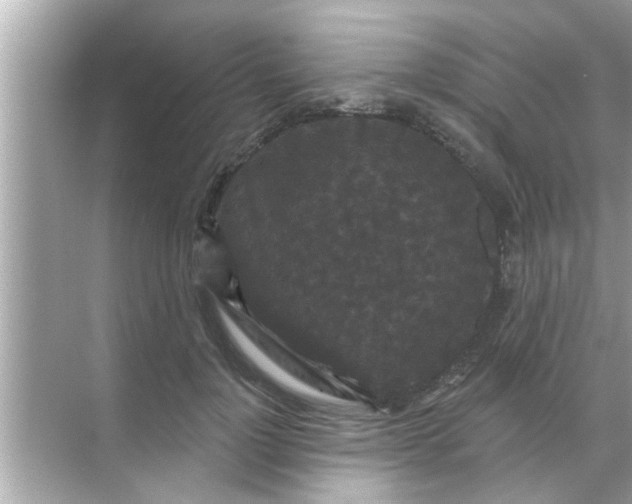 X0000070860748200606302045