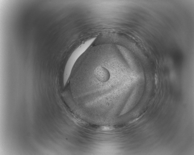 X0000070860750200606302045