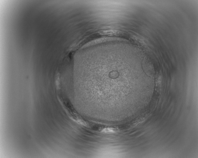 X0000070860751200606302045