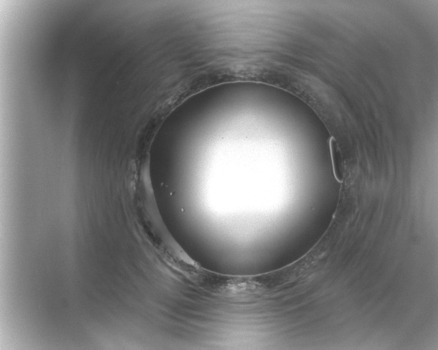 X0000070860752200606302045