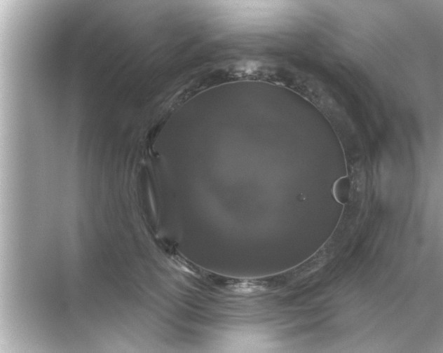 X0000070860754200606302045