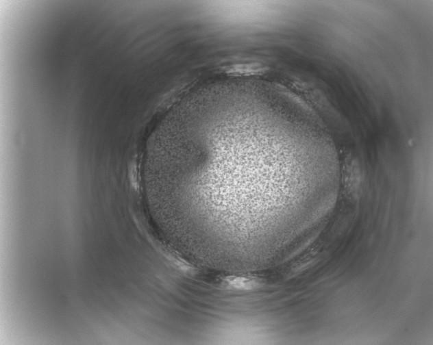 X0000070860755200606302045