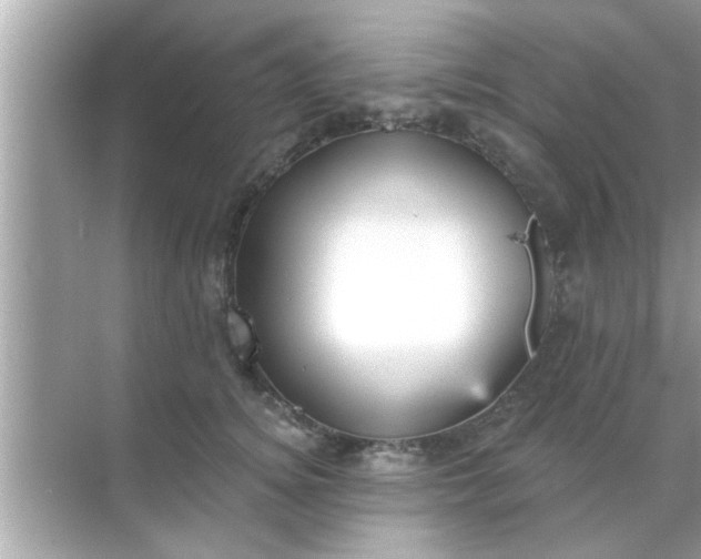 X0000070860756200606302045