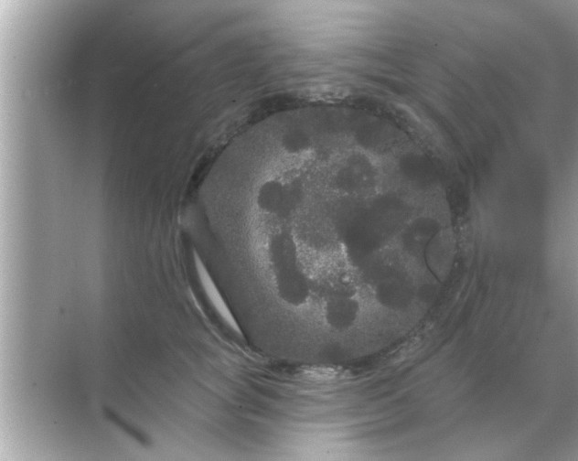 X0000070860757200606302045