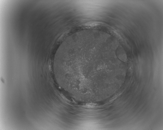 X0000070860758200606302045