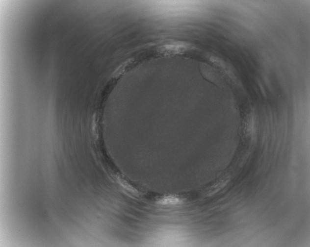 X0000070860759200606302045