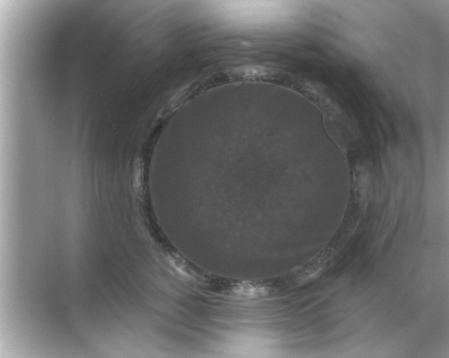 X0000070860760200606302045